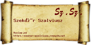 Szekér Szalviusz névjegykártya